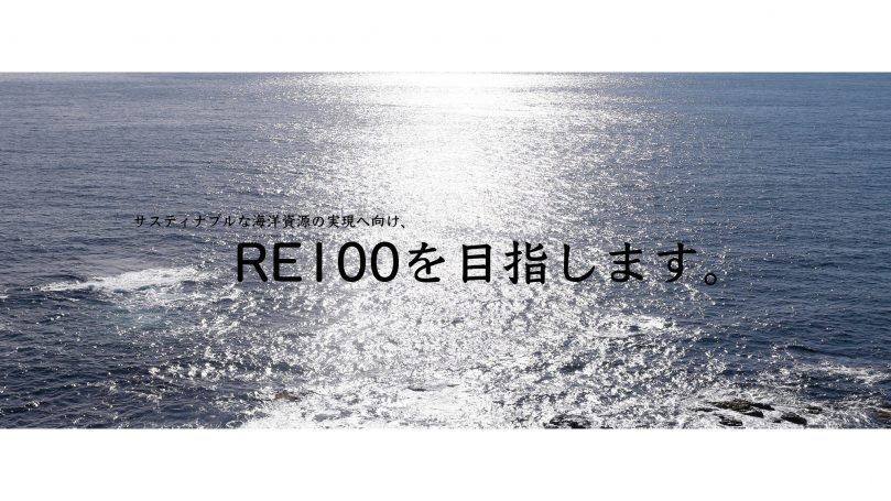 RE100_page-0001 (1)