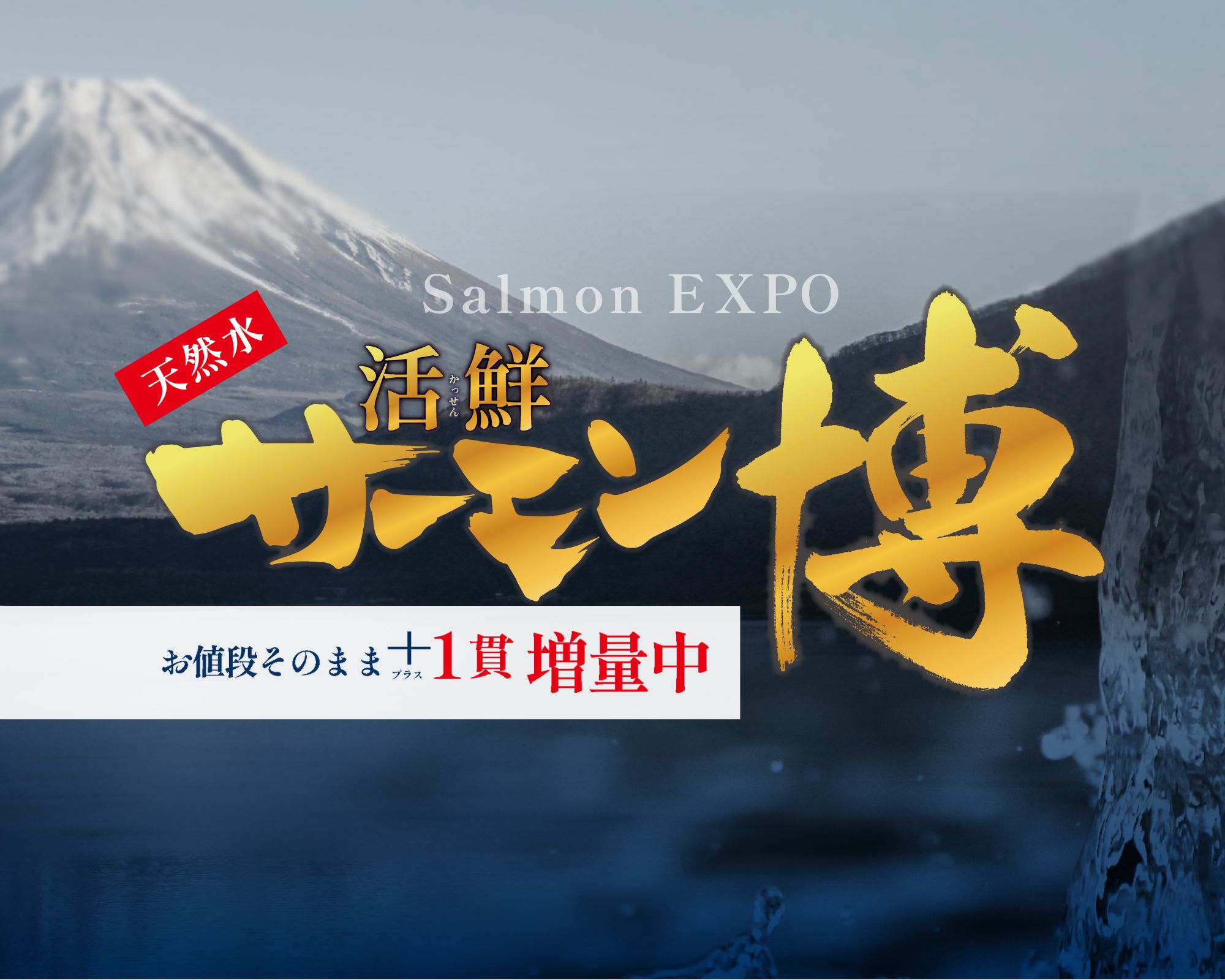 国産サーモンの祭典「サーモン博」開催中！お値段そのまま1貫増量中